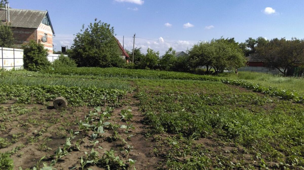 Продается участок Сумская, Сумы фото 1 Продается участок Сумская, Сумы фото 1