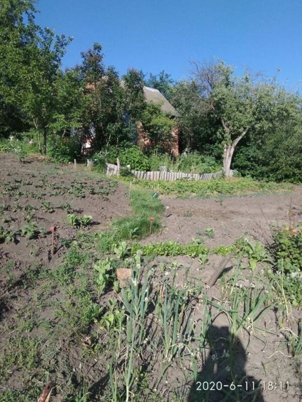 Садовый участок фото 1 Садовый участок фото 1