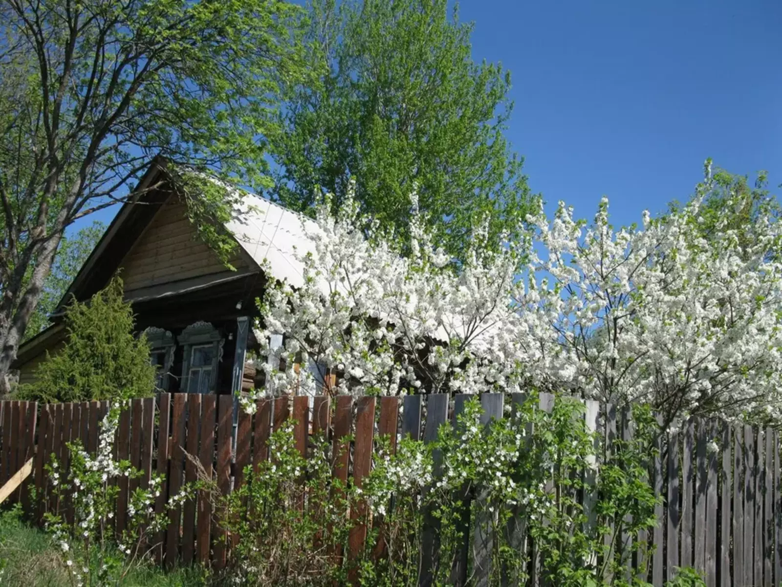 Продается участок Сумская, Сумы, Ковпаковский, Чехова,51 фото 1 Продается участок Сумская, Сумы, Ковпаковский, Чехова,51 фото 1