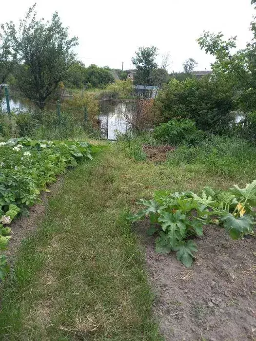 Продается участок Сумская, Сумы, Заречный, Баранівка, с//т Озерне фото 1 Продается участок Сумская, Сумы, Заречный, Баранівка, с//т Озерне фото 1