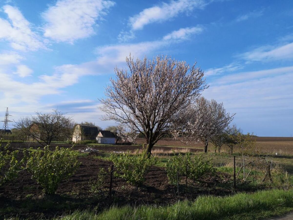Продается участок Сумская, Сумы, Веретенівка Сел. фото 1 Продается участок Сумская, Сумы, Веретенівка Сел. фото 1