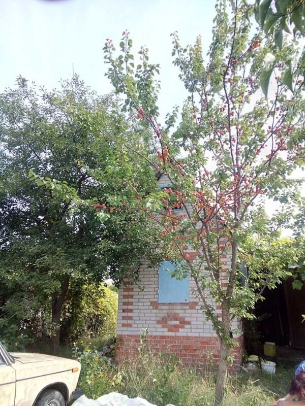 Продается участок Сумская, Сумы, Химик-3, Новоселовка фото 1 Продается участок Сумская, Сумы, Химик-3, Новоселовка фото 1