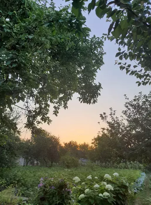 Продается участок Сумская, Сумы, Заречный, с/т Хімік-1 фото 1 Продается участок Сумская, Сумы, Заречный, с/т Хімік-1 фото 1