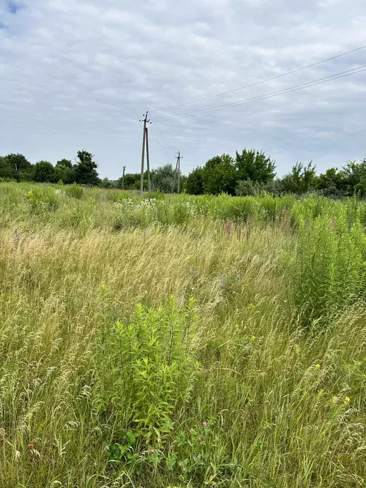 Продается участок Сумская, Сумы, Заречный, Кощия/Данька фото 1 Продается участок Сумская, Сумы, Заречный, Кощия/Данька фото 1