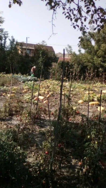 Продается участок Сумская, Сумы, Заречный, Басы фото 1 Продается участок Сумская, Сумы, Заречный, Басы фото 1