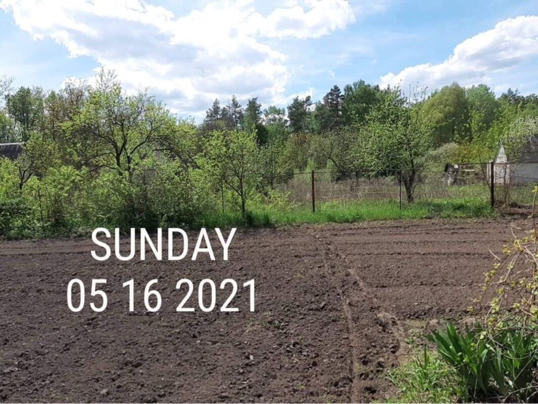 Дача Олдыш фото 1 Дача Олдыш фото 1