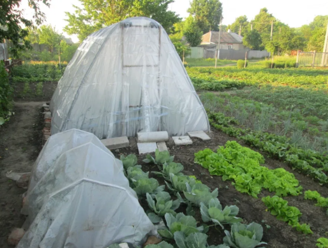 Продается участок Сумская, Сумы, Заречный, ул. Тополянская 126/1 фото 1 Продается участок Сумская, Сумы, Заречный, ул. Тополянская 126/1 фото 1