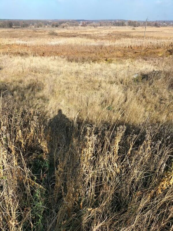 Земельный участок фото 1 Земельный участок фото 1