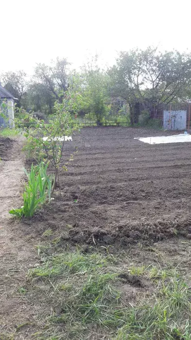 Продается участок Сумская, Сумы, Чистые пруды фото 1 Продается участок Сумская, Сумы, Чистые пруды фото 1