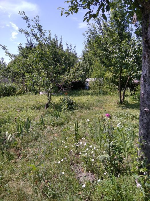 Продается участок Сумская, Сумы, Химик фото 1 Продается участок Сумская, Сумы, Химик фото 1