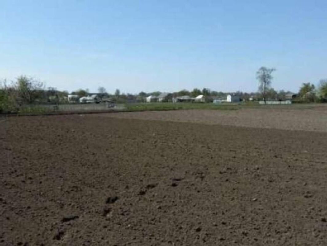 Пай Белопольский р-н фото 1 Пай Белопольский р-н фото 1