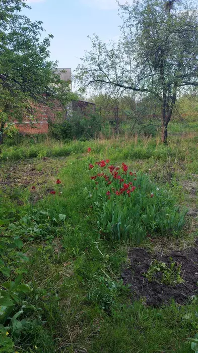 Продается участок Сумская, Сумы, Барановка фото 1 Продается участок Сумская, Сумы, Барановка фото 1