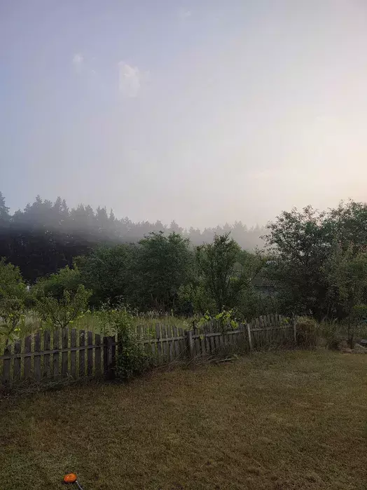 Продается участок Сумская, Сумы, с.Сосновка с/т Учитель фото 1 Продается участок Сумская, Сумы, с.Сосновка с/т Учитель фото 1