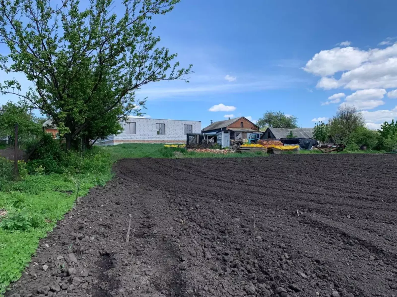 Продается участок Сумская, Сумский, Севериновка фото 1 Продается участок Сумская, Сумский, Севериновка фото 1