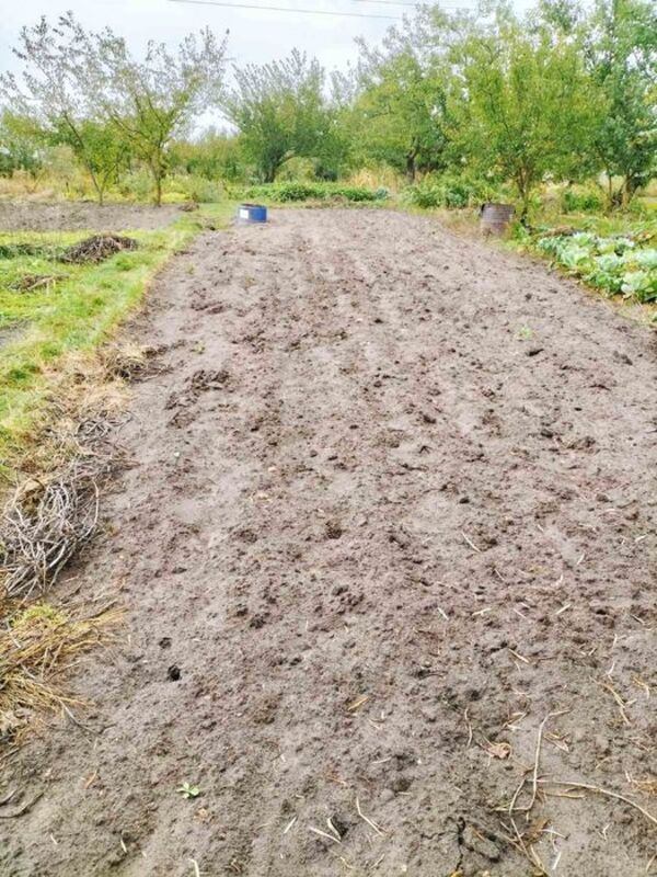 Дачный участок Олдыш фото 1 Дачный участок Олдыш фото 1