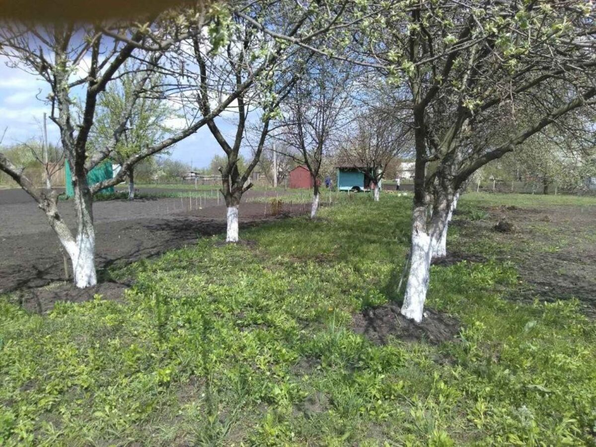 Продается участок Сумская, Сумы, Тополянська вул. фото 1 Продается участок Сумская, Сумы, Тополянська вул. фото 1