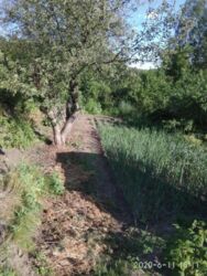 Садовый участок фото 2 Садовый участок фото 2