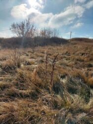 Земельный участок фото 3 Земельный участок фото 3