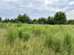 Продается участок Сумская, Сумы, Заречный, Кощия/Данька фото 4 Продается участок Сумская, Сумы, Заречный, Кощия/Данька фото 4