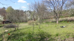 Продается участок Сумская, Сумы, Заречный, Химик фото 8 Продается участок Сумская, Сумы, Заречный, Химик фото 8