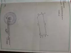 Продается участок Сумская, Конотопский, Жовтневое, СМТ Миколаївка фото 4 Продается участок Сумская, Конотопский, Жовтневое, СМТ Миколаївка фото 4