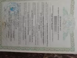 Продается участок Сумская, Конотопский, Жовтневое, СМТ Миколаївка фото 5 Продается участок Сумская, Конотопский, Жовтневое, СМТ Миколаївка фото 5