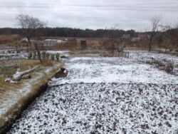 Дача с вагончиком в кооперативе 'Олдыш 86' фото 10 Дача с вагончиком в кооперативе 'Олдыш 86' фото 10