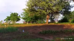 Продается участок Сумская, Сумы, Заречный, р-н Аеропорта фото 4 Продается участок Сумская, Сумы, Заречный, р-н Аеропорта фото 4