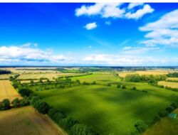 Продается участок Сумская, Сумский, Верхняя Сыроватка фото 1 Продается участок Сумская, Сумский, Верхняя Сыроватка фото 1