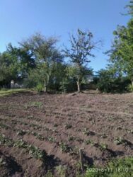 Садовый участок фото 5 Садовый участок фото 5