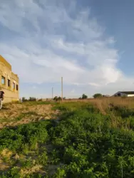 ��������� ������� ������, �������, ������� ���� 7