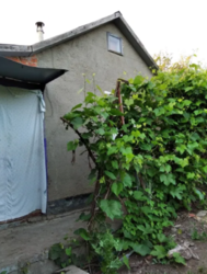 Продается участок Сумская, Сумы фото 16 Продается участок Сумская, Сумы фото 16