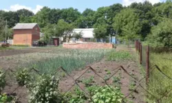 ��������� ������� ��������� / ����������, ����, �������, ������������ ���� 5