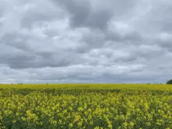 Продается участок Сумская, Сумы, Ковпаковский, Веретинівка фото 2 Продается участок Сумская, Сумы, Ковпаковский, Веретинівка фото 2