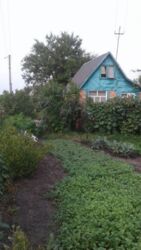 Дачный участок фото 8 Дачный участок фото 8