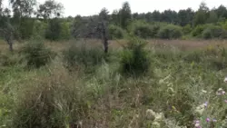 ��������� ������� ���������, �����������, ������� ���� 4