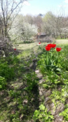 Продается участок Сумская, Сумы, Заречный, Химик фото 7 Продается участок Сумская, Сумы, Заречный, Химик фото 7