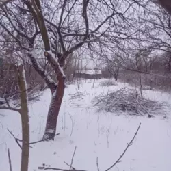 Продается участок Сумская, Сумы, Ковпаковский, Тепличний/ вул Берестова фото 2 Продается участок Сумская, Сумы, Ковпаковский, Тепличний/ вул Берестова фото 2