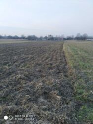 Продается участок Сумская, Сумский, Большая Чернетчина фото 1 Продается участок Сумская, Сумский, Большая Чернетчина фото 1