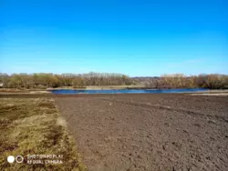 ��������� ������� ����������, �������, ������� ���� 1