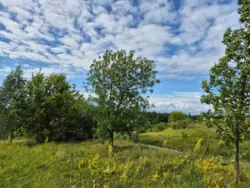 Продается участок Сумская, Сумский, Надточиево фото 2 Продается участок Сумская, Сумский, Надточиево фото 2