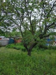 Участок в черте города возле реки, на Луке . фото 3 Участок в черте города возле реки, на Луке . фото 3