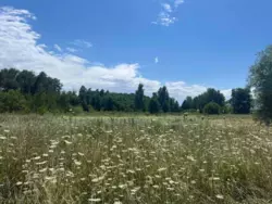 Продается участок Сумская, Сумский, Нижняя Сыроватка фото 3 Продается участок Сумская, Сумский, Нижняя Сыроватка фото 3