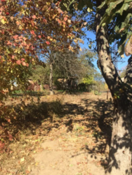 Продается участок Сумская, Сумский, Рудневка фото 5 Продается участок Сумская, Сумский, Рудневка фото 5