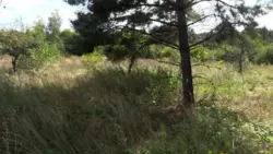 ��������� ������� ���������, �����������, ������� ���� 2