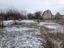 Дача с вагончиком в кооперативе 'Олдыш 86' фото 8 Дача с вагончиком в кооперативе 'Олдыш 86' фото 8