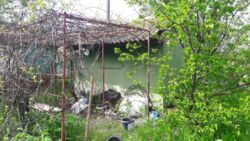 Дача Новоселица Химик 3 фото 4 Дача Новоселица Химик 3 фото 4