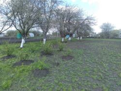 Продается участок Сумская, Сумы, Тополянська вул. фото 3 Продается участок Сумская, Сумы, Тополянська вул. фото 3