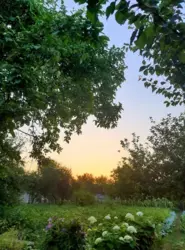 Продается участок Сумская, Сумы, Заречный, с/т Хімік-1 фото 2 Продается участок Сумская, Сумы, Заречный, с/т Хімік-1 фото 2