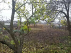 Продается участок Сумская фото 3 Продается участок Сумская фото 3